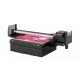 Ricoh Pro TF6250 Flatbed UV Printer - discontinued product