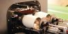 Inkcups Double Helix cylindrical UV printer